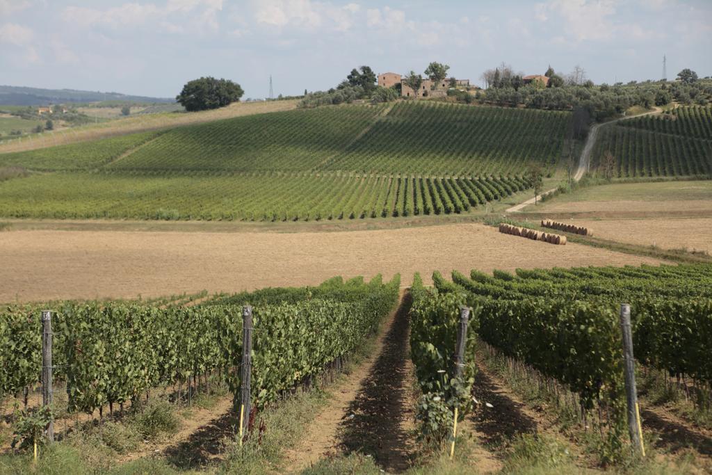 Agriturismo Spazzavento Vinci Exterior foto